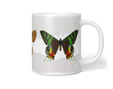 Insects_Cup_087iwLDP1KaAL7jI_1280x1280.jpg