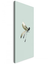 Insekten_0020XkqhQ9nRDy0B_1280x1280.jpg