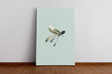 Insekten_002I1VrfrAUQWTfC_1280x1280.jpg