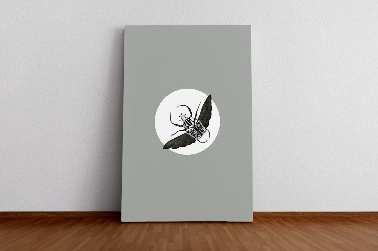 Insekten_003WjGftwhYRRl9D_1280x1280.jpg