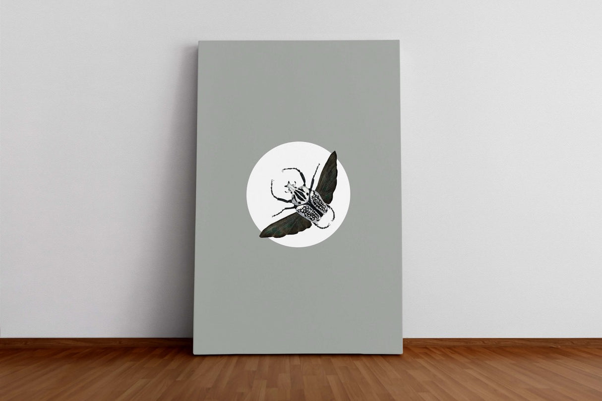 Insekten_003WjGftwhYRRl9D_1280x1280.jpg