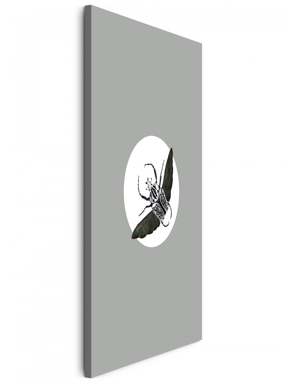 Insekten_003tFW1qkxS5VNDZ_1280x1280.jpg