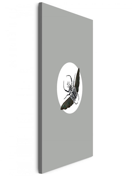 Insekten_003tFW1qkxS5VNDZ_1280x1280.jpg