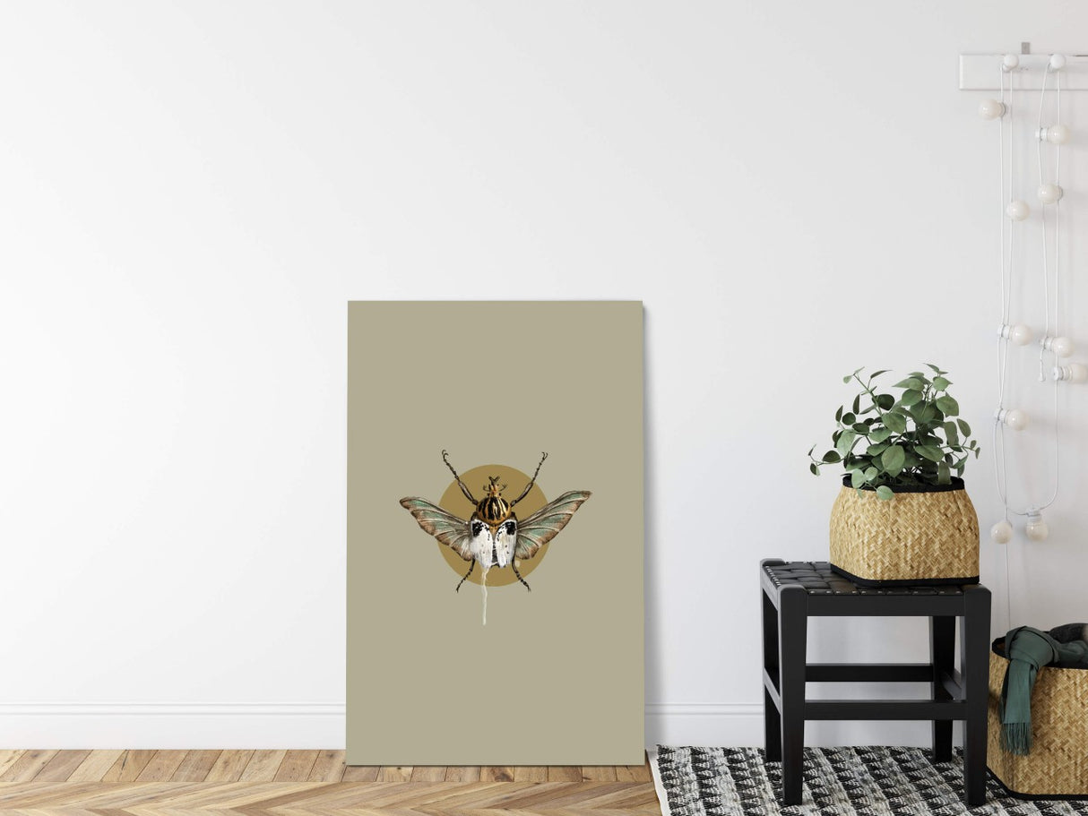 Insekten_0065Ebzh7CdQPm0T_1280x1280.jpg