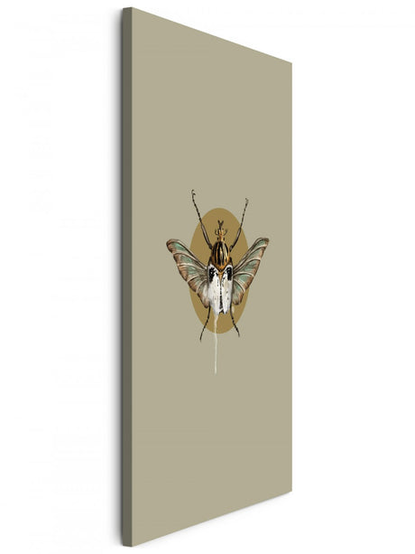 Insekten_006dhL6ZiVUYLlfg_1280x1280.jpg