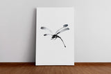 Insekten_0079YvdAwcot0fmY_1280x1280.jpg