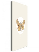 Insekten_013m6fEasf81cgKu_1280x1280.jpg