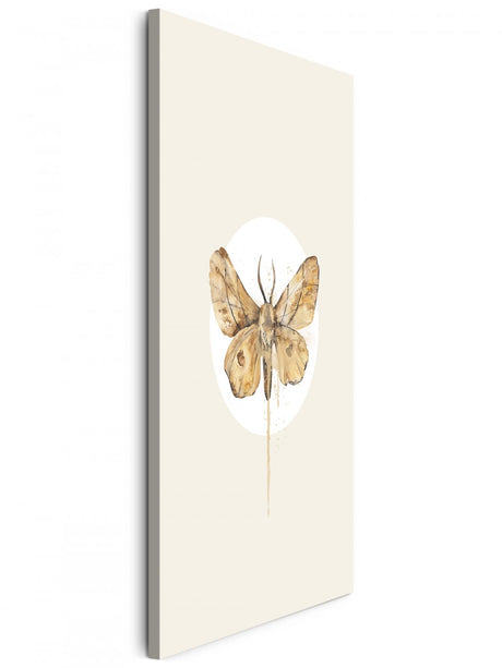Insekten_013m6fEasf81cgKu_1280x1280.jpg