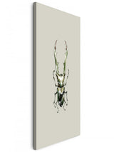 Insekten_017aWgSlqrefliR5_1280x1280.jpg