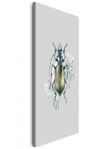 Insekten_0237w3cUfGAzOANi_1280x1280.jpg
