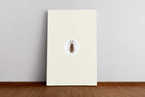 Insekten_0260IFE0iFkFpcIW_1280x1280.jpg