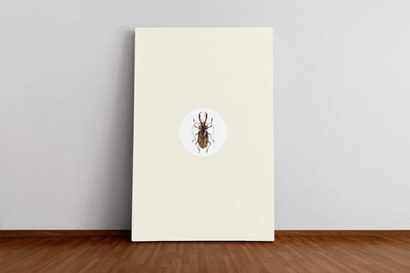Insekten_0260IFE0iFkFpcIW_1280x1280.jpg