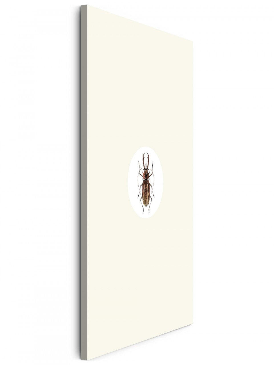 Insekten_026JGd0dFtALf17E_1280x1280.jpg