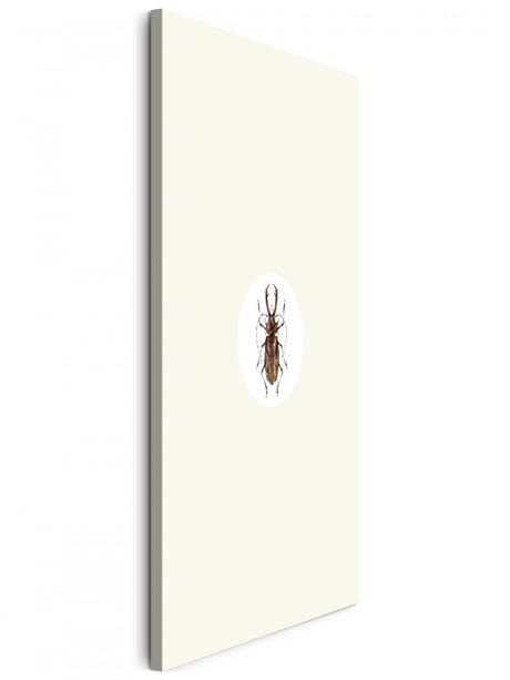 Insekten_026JGd0dFtALf17E_1280x1280.jpg