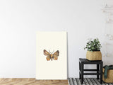 Insekten_033IT6bHTNqwqRdQ_1280x1280.jpg