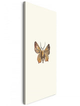 Insekten_033wmRyHQh7oTgFZ_1280x1280.jpg