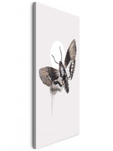 Insekten_0374hKTmKLaiAYUz_1280x1280.jpg
