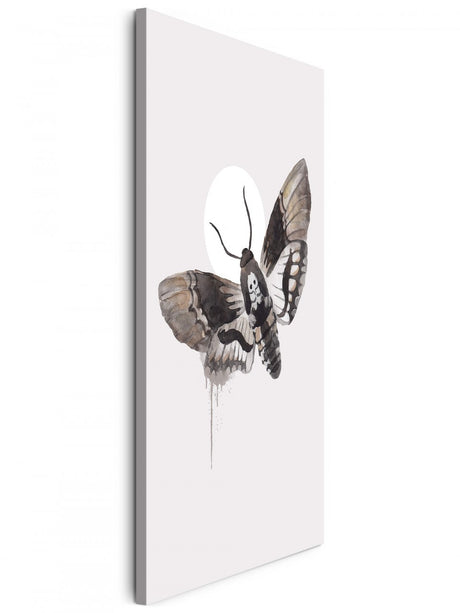 Insekten_0374hKTmKLaiAYUz_1280x1280.jpg