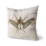 Insekten_040vNvoxYBDhkscI_1280x1280.jpg