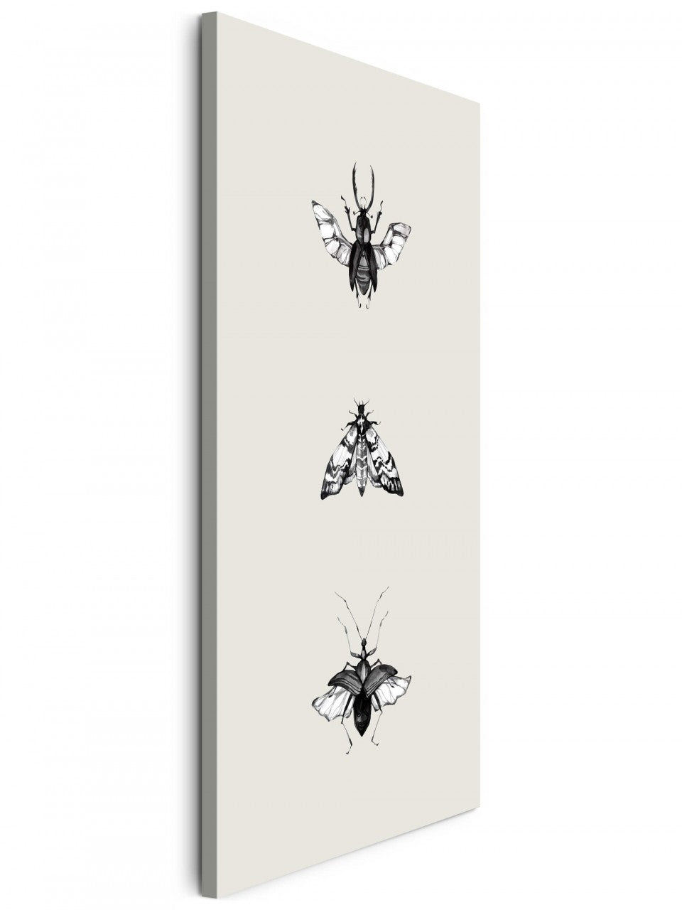 Insekten_042kUhaVx3I3qNtJ_1280x1280.jpg