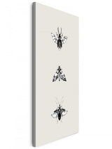 Insekten_042kUhaVx3I3qNtJ_1280x1280.jpg