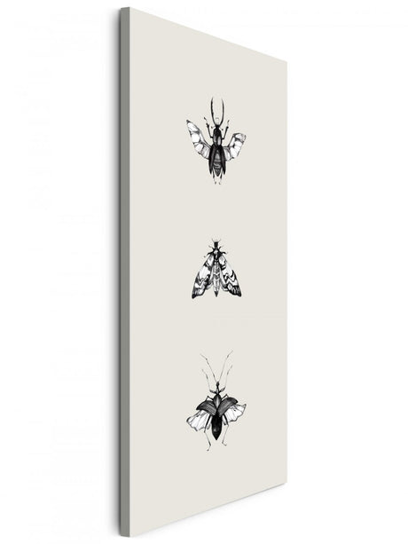 Insekten_042kUhaVx3I3qNtJ_1280x1280.jpg