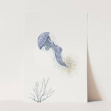 Ocean_Aqua_0069_1280x1280.jpg
