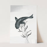 Ocean_Aqua_0084_1280x1280.jpg