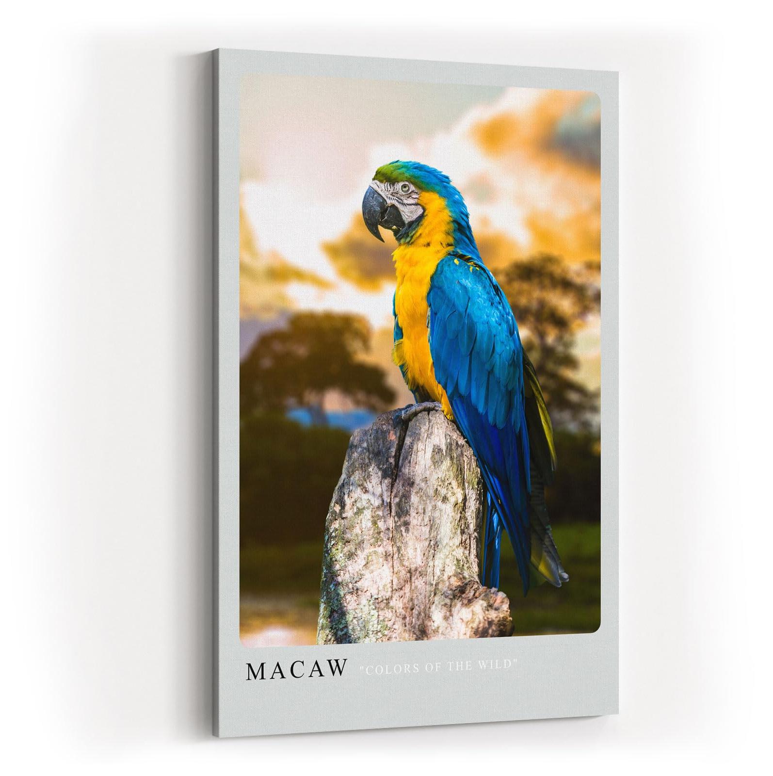 Paul Sinus Kunstdruck 40x60cm Macaw Ara auf Baumstumpf vor Dschungelhintergrund bei Sonnenuntergang