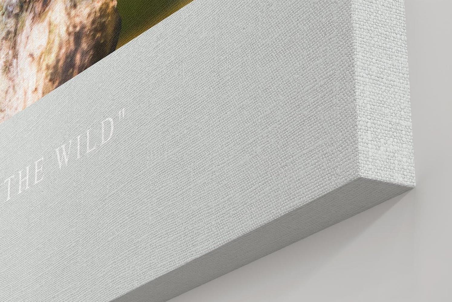 Paul Sinus Kunstdruck 40x60cm Macaw Ara auf Baumstumpf vor Dschungelhintergrund bei Sonnenuntergang