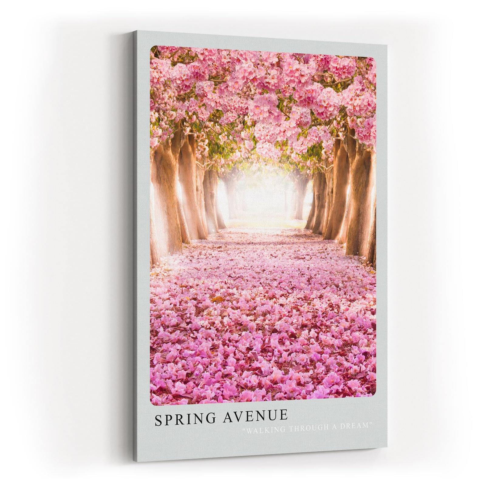 Paul Sinus Kunstdruck 40x60cm Spring Avenue blühende Kirschbaumallee mit rosafarbenem Blütenteppich im Licht