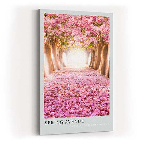 Paul Sinus Kunstdruck 40x60cm Spring Avenue blühende Kirschbaumallee mit rosafarbenem Blütenteppich im Licht