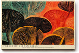 Paul Sinus Wandbild 120x80cm Abstrakte Pilze Farbenreiche Naturkunst Modernes Waldmotiv fuer Wohnzimmer Esszimmer und kreative Wohnräume