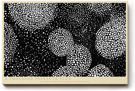 Paul Sinus Wandbild 120x80cm Abstrakte Punktkomposition Schwarz Weiss moderne grafische Kunst mit dynamischem Muster