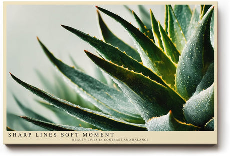 Paul Sinus Wandbild 120x80cm Agave Pflanze Makrofotografie gruene Sukkulente moderne Naturkunst stilvolle botanische Wanddekoration fuer Wohnzimmer Büro
