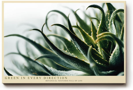 Paul Sinus Wandbild 120x80cm Aloe Pflanze Makrofotografie grüne botanische Naturkunst modernes Pflanzenposter für Wohnzimmer Schlafzimmer Büro Flur