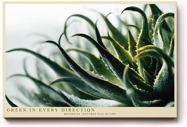 Paul Sinus Wandbild 120x80cm Aloe Pflanze Makrofotografie grüne botanische Naturkunst modernes Pflanzenposter für Wohnzimmer Schlafzimmer Büro Flur