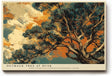 Paul Sinus Wandbild 120x80cm Australischer Outback Baum Dramatische Naturkunst mit Wolkenhimmel fuer moderne Wohnräume