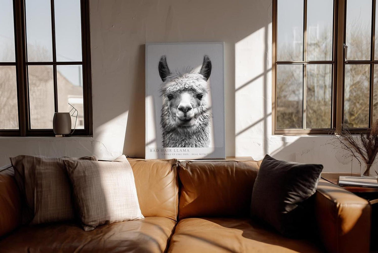Paul Sinus Wandbild in 40x60cm Bad Hair Llama – humorvolles Lama-Porträt in Schwarz-Weiß mit witzigem Ausdruck