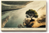 Paul Sinus Wandbild 120x80cm Baum Landschaft warmes Licht moderne Naturfotografie ruhige Natur Wanddekoration fuer Wohnzimmer Büro