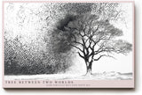 Paul Sinus Wandbild 120x80cm Baum zwischen Licht und Schatten Abstrakte Schwarz Weiss Naturkunst Modernes Motiv für Wohnzimmer Büro Flur
