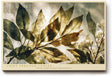 Paul Sinus Wandbild 120x80cm Blaetter im Licht botanische Naturkunst gruene transparente Blaetter moderne Natur Wanddekoration fuer Wohnzimmer Büro