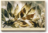 Paul Sinus Wandbild 120x80cm Blaetter im Licht botanische Naturkunst gruene transparente Blaetter moderne Natur Wanddekoration fuer Wohnzimmer Büro