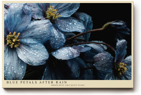 Paul Sinus Wandbild 120x80cm Blue Petals After Rain blaue Blumen Makro Fotokunst mit Wassertropfen moderne Natur Poster für Wohnzimmer Schlafzimmer