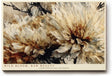 Paul Sinus Wandbild 120x80cm Blumen Makro modern beige braun florale Kunst Kunstdruck grosses Kunstbild elegante Wanddekoration fuer Wohnzimmer Büro Flur