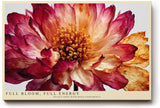 Paul Sinus Wandbild 120x80cm Blumen Makro modern rot beige florale Kunst Kunstdruck grosses Kunstbild elegante Wanddekoration fuer Wohnzimmer Büro Flur