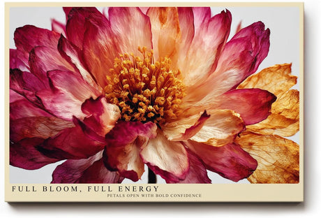 Paul Sinus Wandbild 120x80cm Blumen Makro modern rot beige florale Kunst Kunstdruck grosses Kunstbild elegante Wanddekoration fuer Wohnzimmer Büro Flur