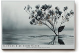 Paul Sinus Wandbild 120x80cm Blüten im Wasser minimalistische Naturkunst zarte Blumen graue ruhige Ästhetik modernes Naturmotiv stilvolle