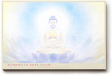 Paul Sinus Wandbild 120x80cm Buddha Meditation sanftes Licht spirituelle Zen Kunst Lotus Atmosphaere moderner Kunstdruck Wanddekoration fuer Wohnzimmer Yoga Raum Schlafzimmer