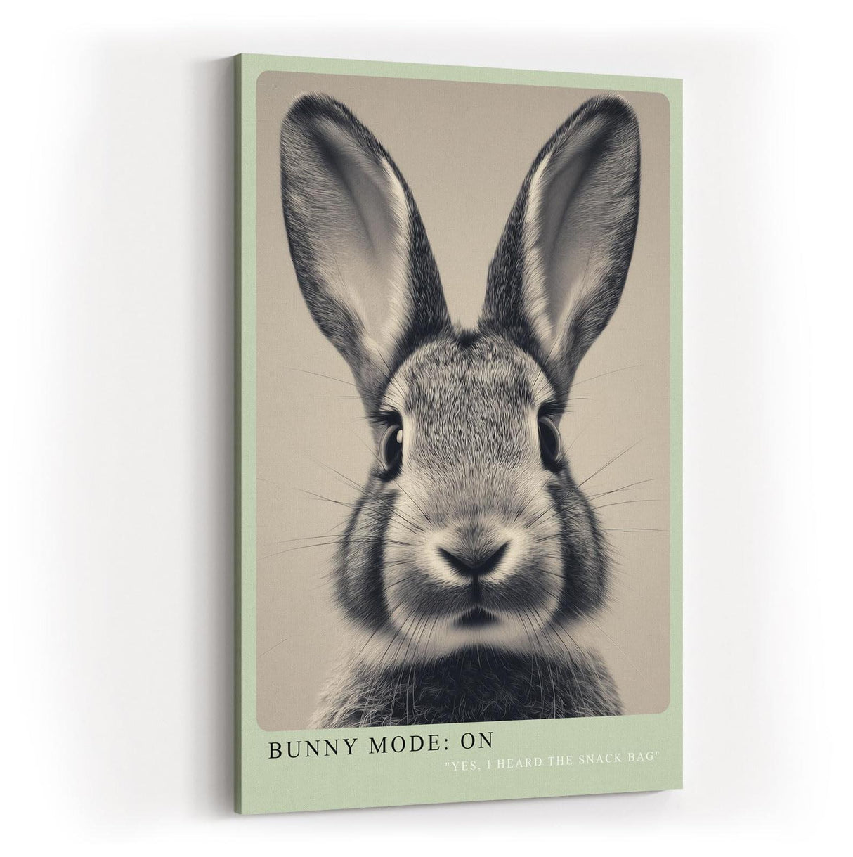 Paul Sinus Wandbild in 40x60cm Bunny Mode: On – Humorvolles Kaninchenporträt in Schwarz-Weiß mit neugierigem Blick